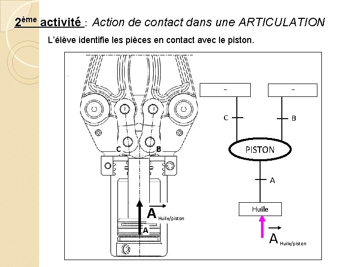 2ème activité : Action de contact dans une ARTICULATION L’élève identifie les pièces en