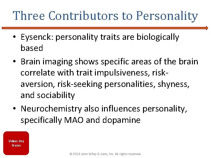 Three Contributors to Personality • Eysenck: personality traits are biologically based • Brain imaging