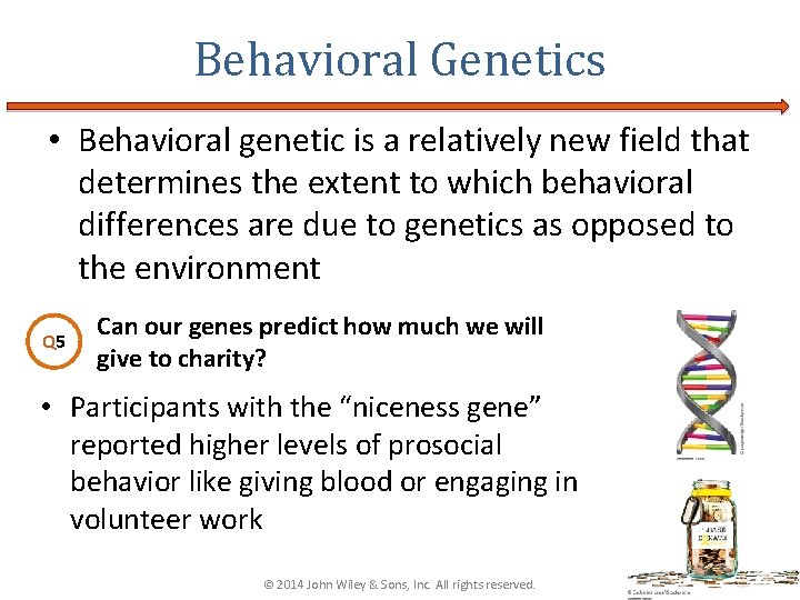 Behavioral Genetics • Behavioral genetic is a relatively new field that determines the extent