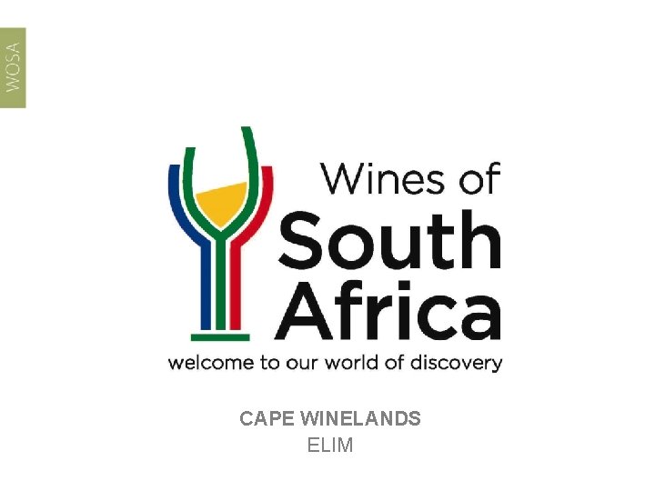 CAPE WINELANDS ELIM 