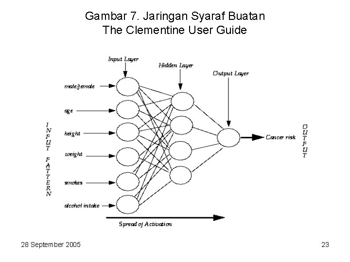 Gambar 7. Jaringan Syaraf Buatan The Clementine User Guide 28 September 2005 23 