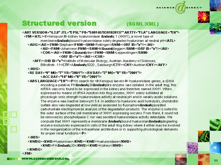 Structured version (SGML/XML) <ART VERSION="4. 2. 0" JTL="EPSL" PII="S 0014579301028137" ARTTY="FLA" LANGUAGE="EN"> <FM><ATL><I>Xenopus</I> kidney