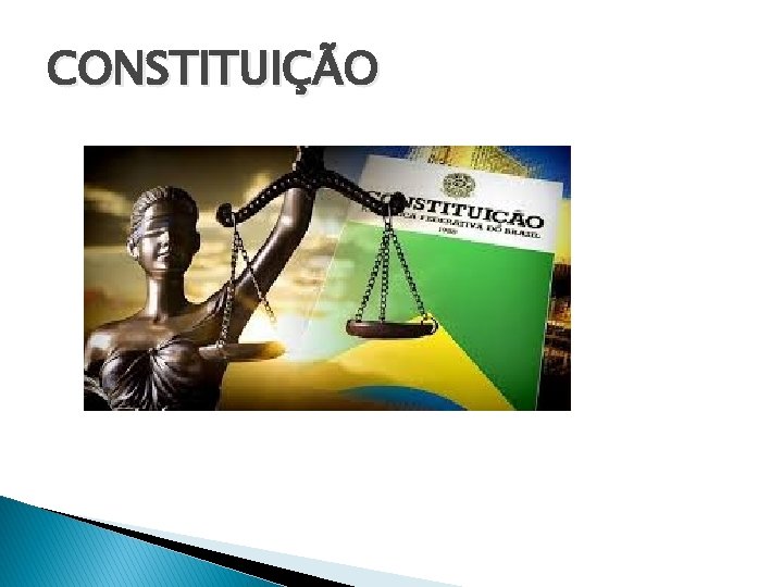 CONSTITUIÇÃO 