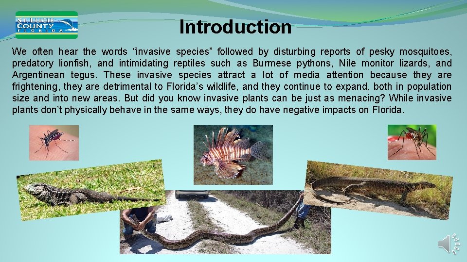 Introduction We often hear the words “invasive species” followed by disturbing reports of pesky Introduction We often hear the words “invasive species” followed by disturbing reports of pesky