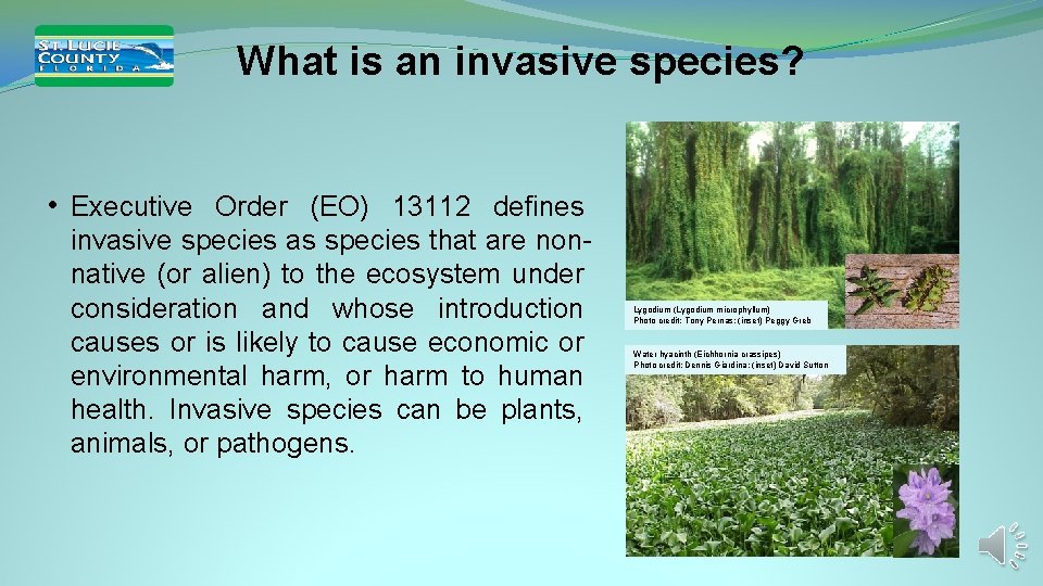 What is an invasive species? • Executive Order (EO) 13112 defines invasive species as What is an invasive species? • Executive Order (EO) 13112 defines invasive species as