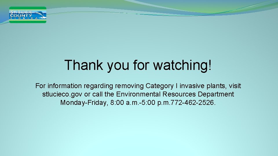 Thank you for watching! For information regarding removing Category I invasive plants, visit stlucieco. Thank you for watching! For information regarding removing Category I invasive plants, visit stlucieco.