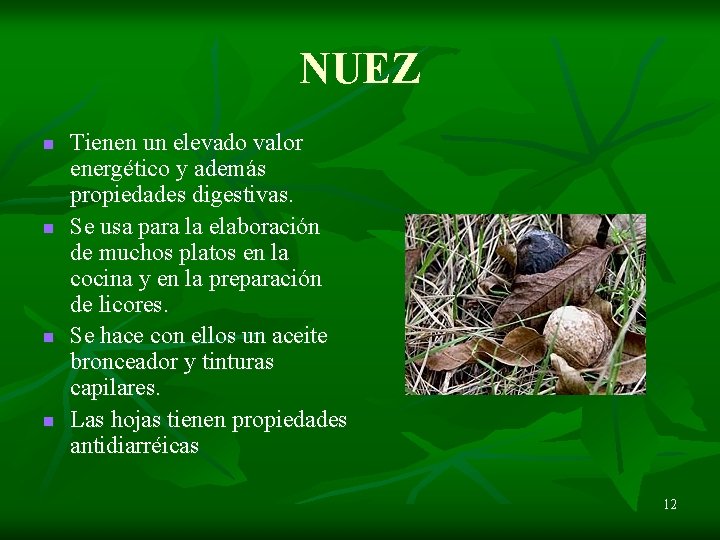 NUEZ n n Tienen un elevado valor energético y además propiedades digestivas. Se usa