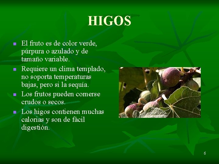 HIGOS n n El fruto es de color verde, púrpura o azulado y de