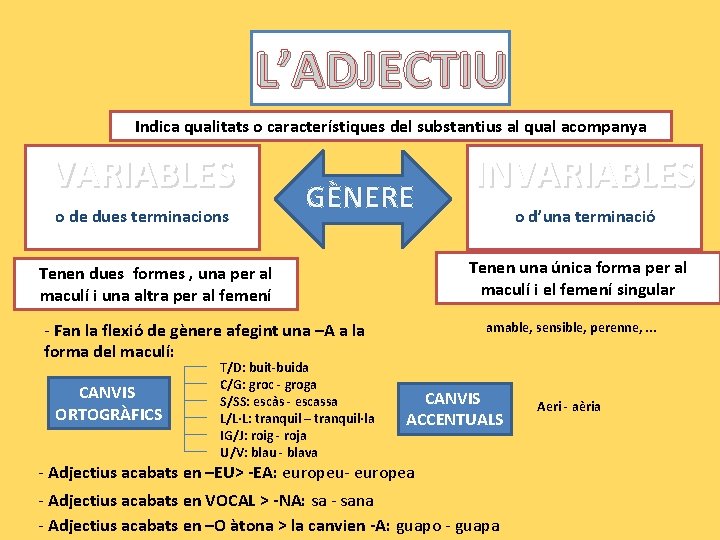 L’ADJECTIU Indica qualitats o característiques del substantius al qual acompanya VARIABLES o de dues
