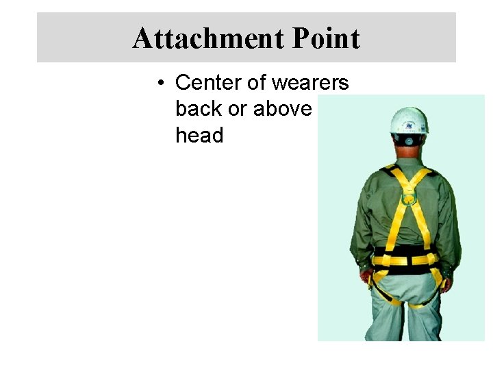 Attachment Point • Center of wearers back or above head 
