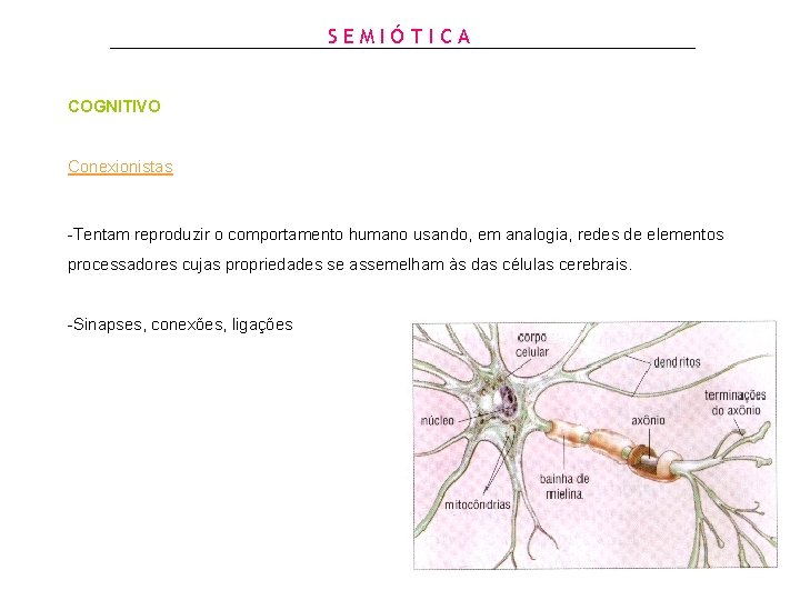 SEMIÓTICA COGNITIVO Conexionistas -Tentam reproduzir o comportamento humano usando, em analogia, redes de elementos