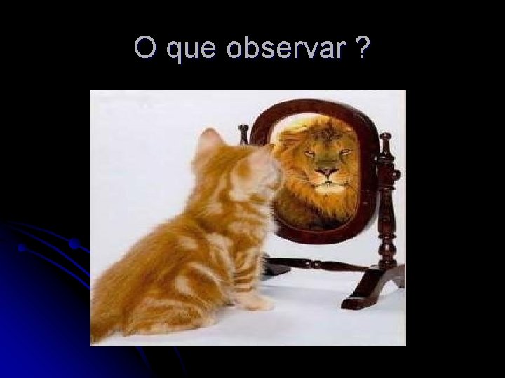 O que observar ? 