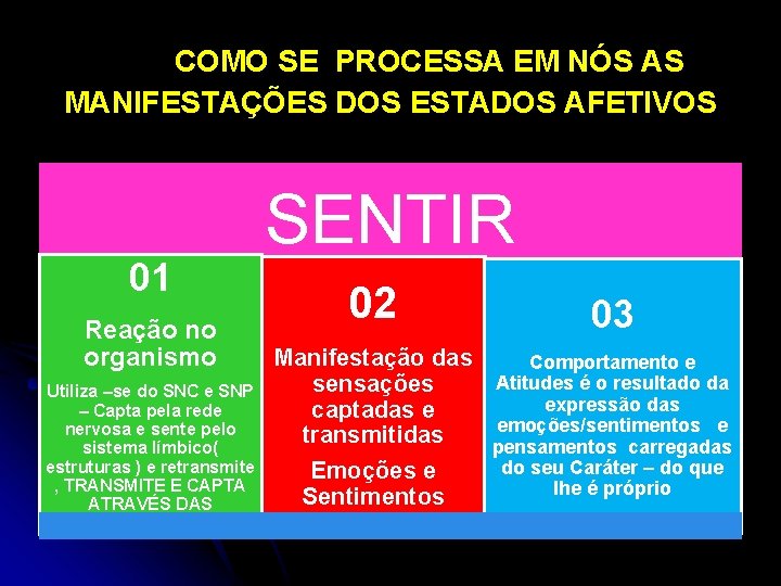 COMO SE PROCESSA EM NÓS AS MANIFESTAÇÕES DOS ESTADOS AFETIVOS 01 Reação no organismo