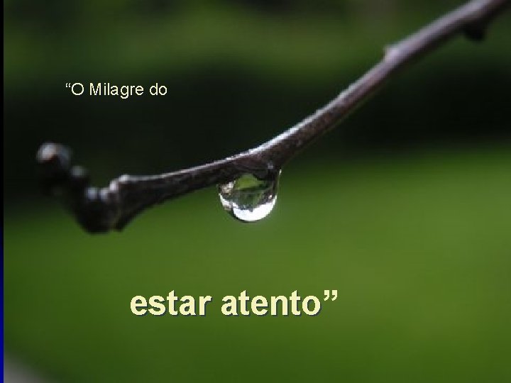 “O Milagre do estar atento” atento 