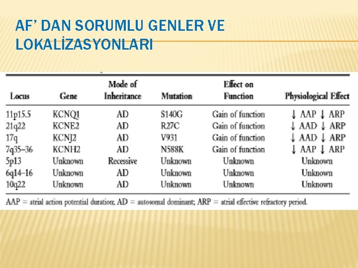 AF’ DAN SORUMLU GENLER VE LOKALİZASYONLARI 