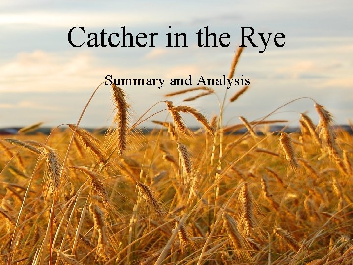 Catcher in the Rye Summary and Analysis 