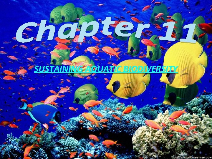 SUSTAINING AQUATIC BIODIVERSITY 