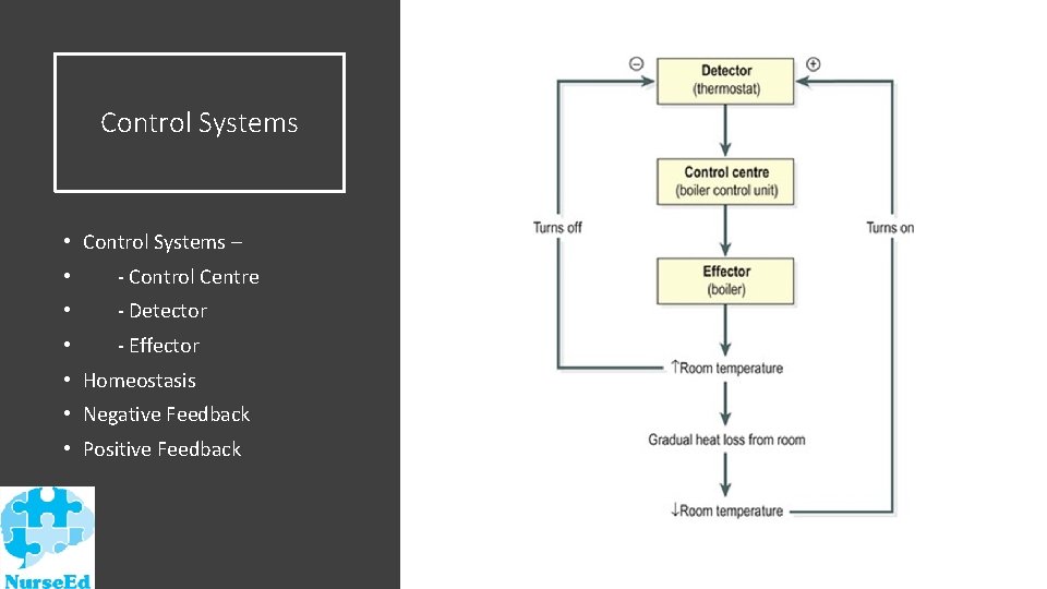Control Systems • Control Systems – • - Control Centre • - Detector •