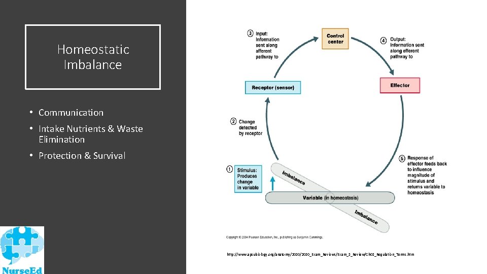 Homeostatic Imbalance • Communication • Intake Nutrients & Waste Elimination • Protection & Survival