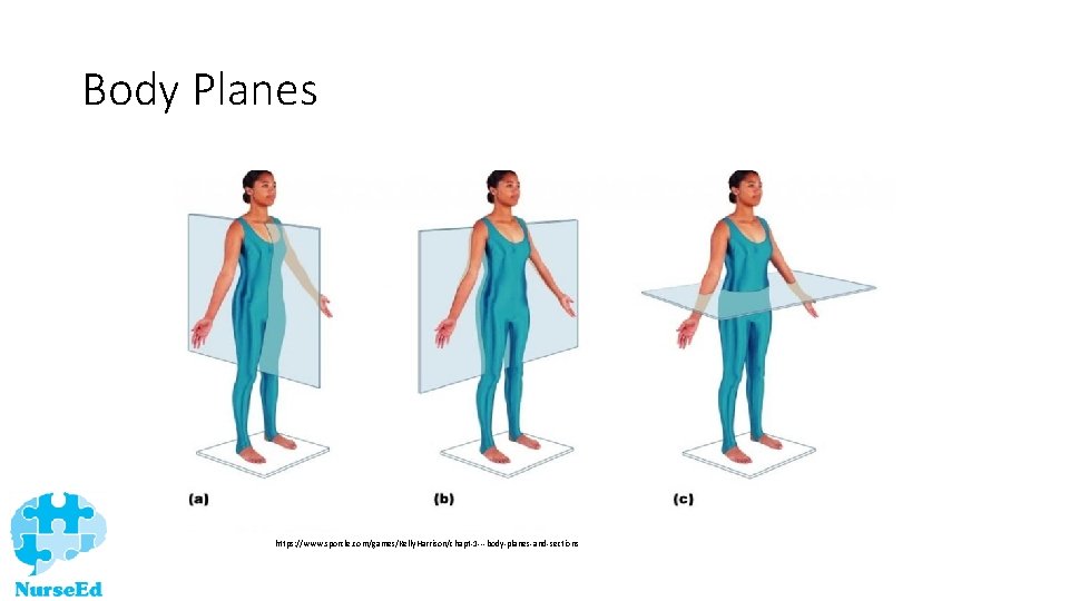Body Planes https: //www. sporcle. com/games/Kelly. Harrison/chapt-1 ---body-planes-and-sections 
