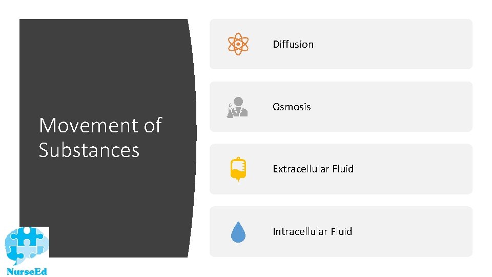 Diffusion Movement of Substances Osmosis Extracellular Fluid Intracellular Fluid 