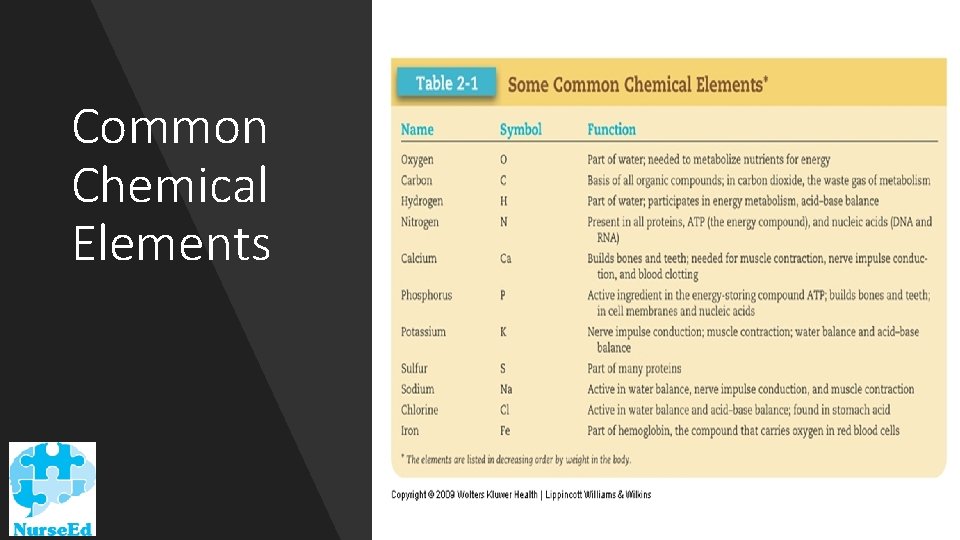 Common Chemical Elements 