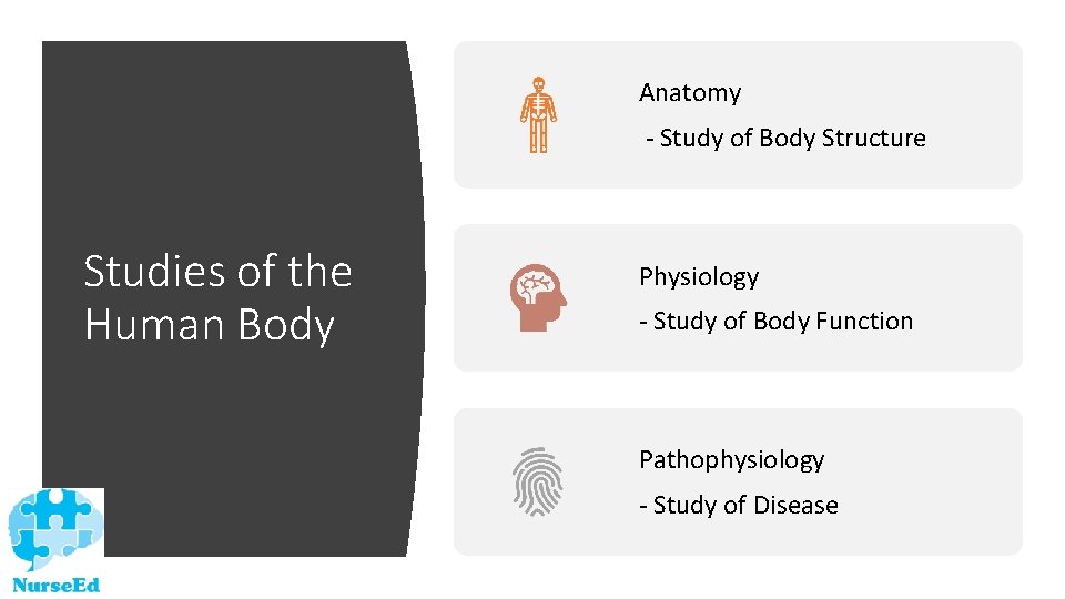 Anatomy - Study of Body Structure Studies of the Human Body Physiology - Study
