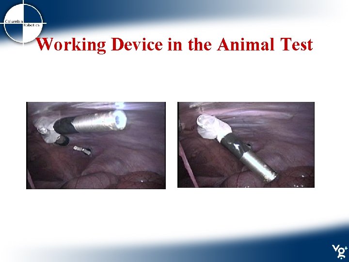 Working Device in the Animal Test 