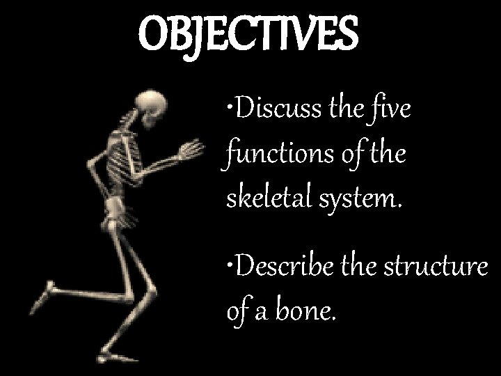 OBJECTIVES • Discuss the five functions of the skeletal system. • Describe the structure