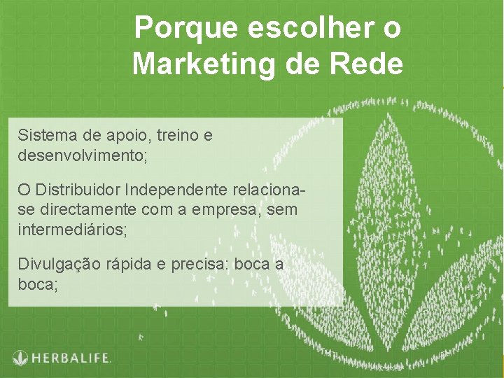 Porque escolher o Marketing de Rede Sistema de apoio, treino e desenvolvimento; O Distribuidor