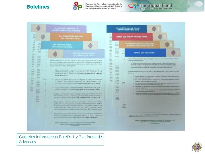 Boletines Carpetas informativas Boletín 1 y 2 - Líneas de Advocacy 