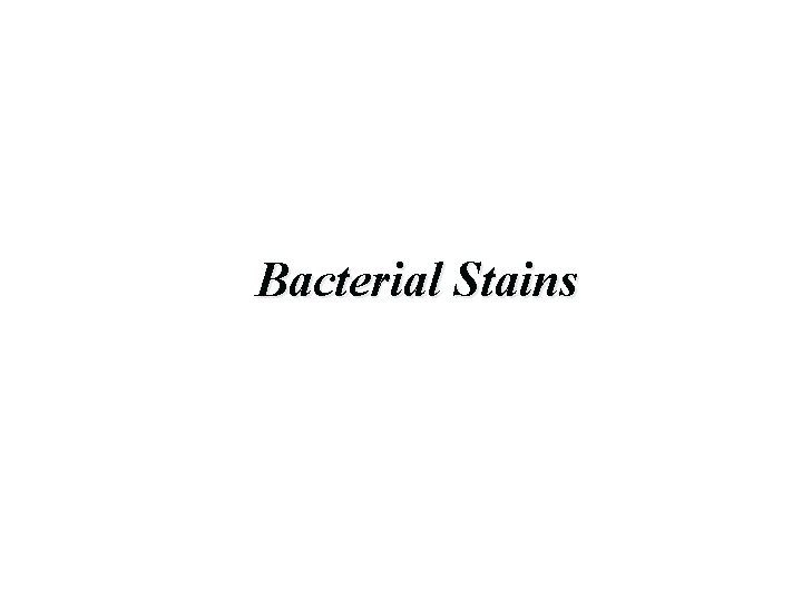 Bacterial Stains 