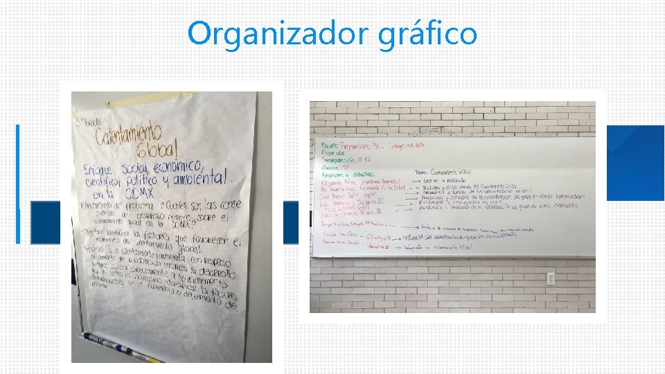 Organizador gráfico 