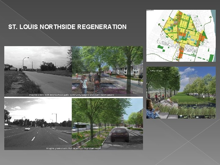 ST. LOUIS NORTHSIDE REGENERATION 