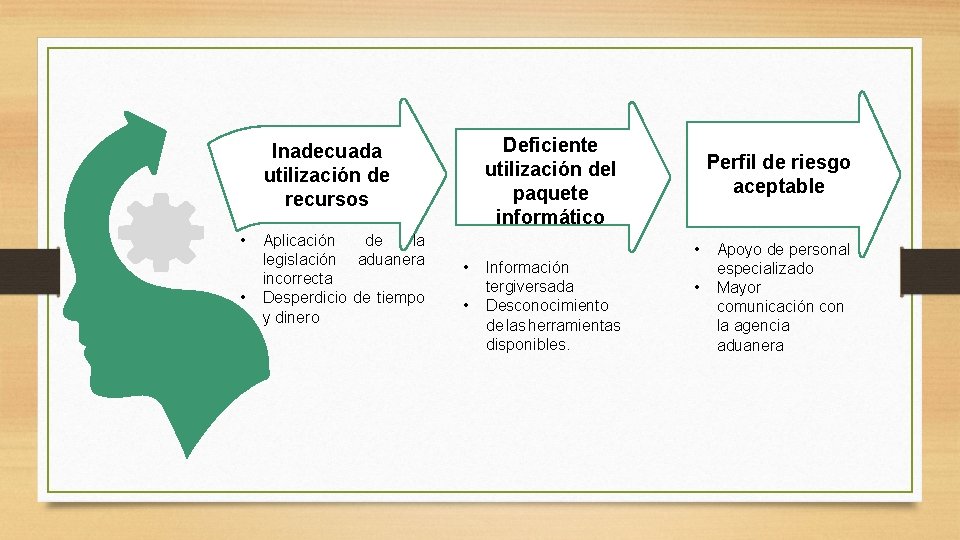 Deficiente utilización del paquete informático Inadecuada utilización de recursos • • Aplicación de la