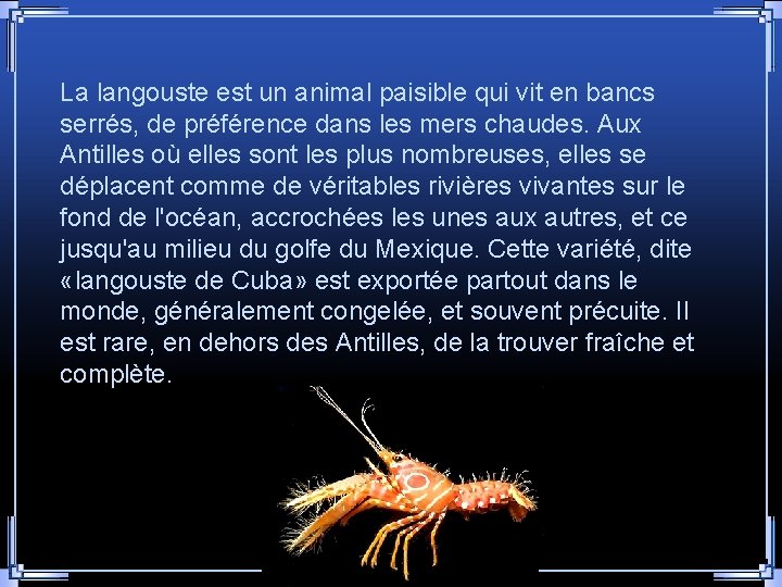 La langouste est un animal paisible qui vit en bancs serrés, de préférence dans La langouste est un animal paisible qui vit en bancs serrés, de préférence dans