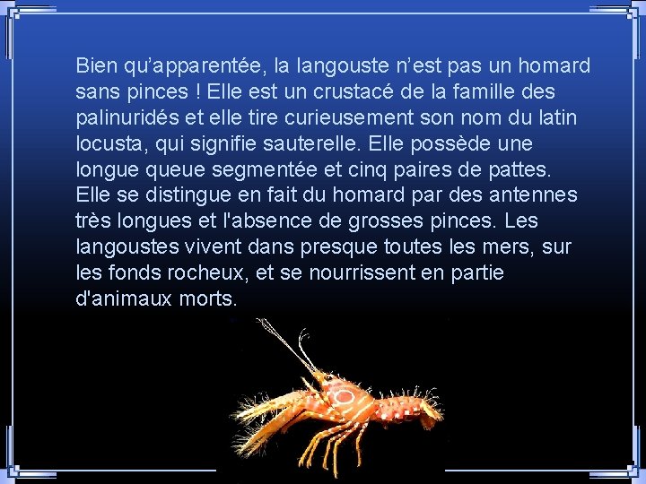 Bien qu’apparentée, la langouste n’est pas un homard sans pinces ! Elle est un Bien qu’apparentée, la langouste n’est pas un homard sans pinces ! Elle est un