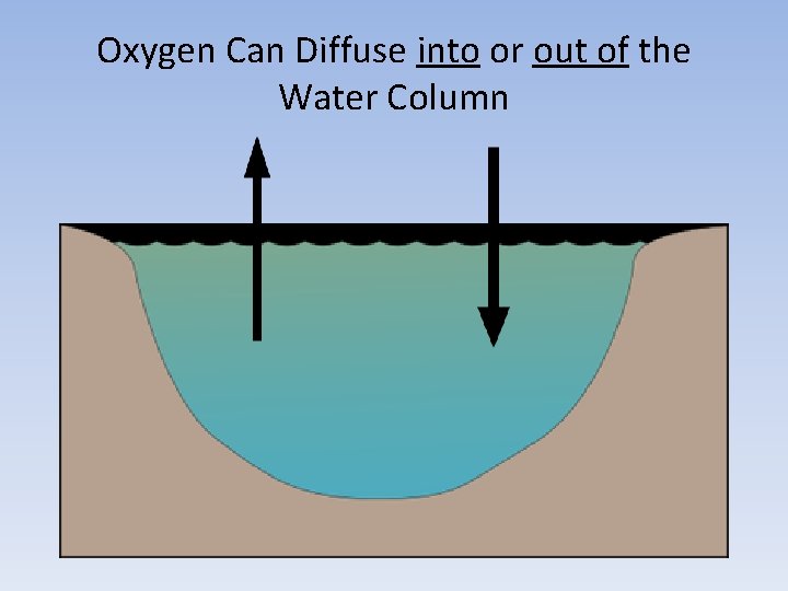 Oxygen Can Diffuse into or out of the Water Column 