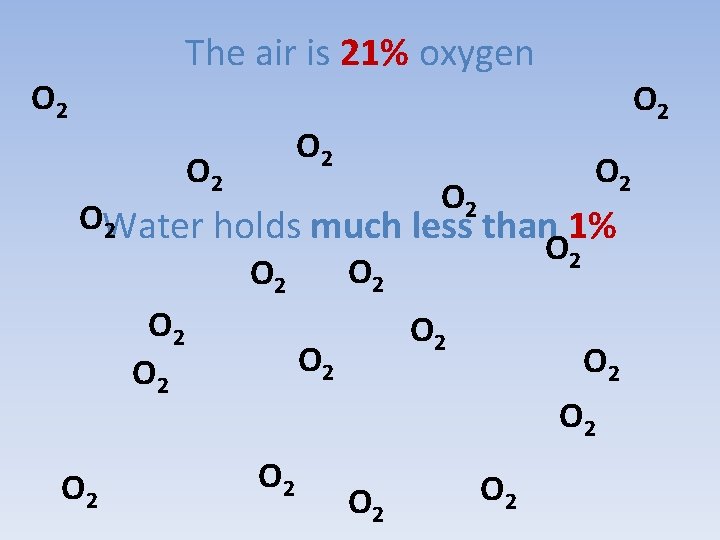 The air is 21% oxygen O 2 O 2 O 2 OWater holds much