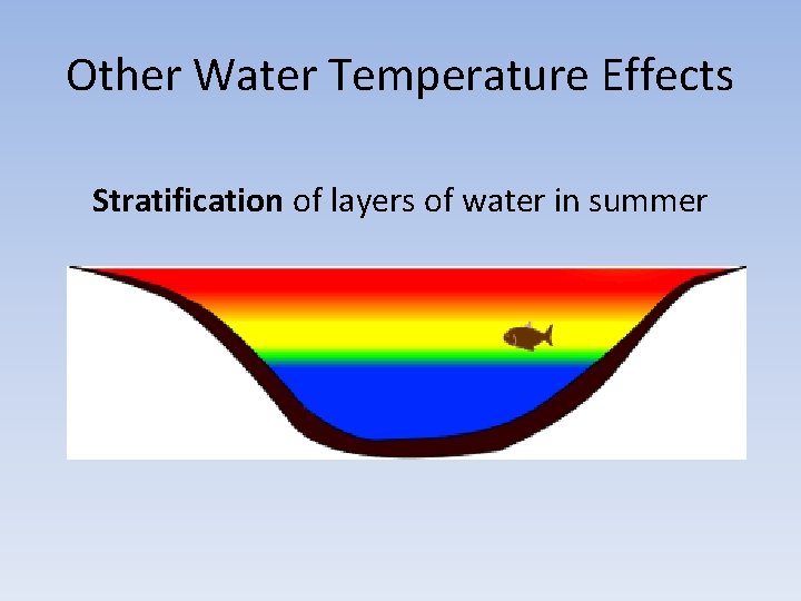 Other Water Temperature Effects Stratification of layers of water in summer 