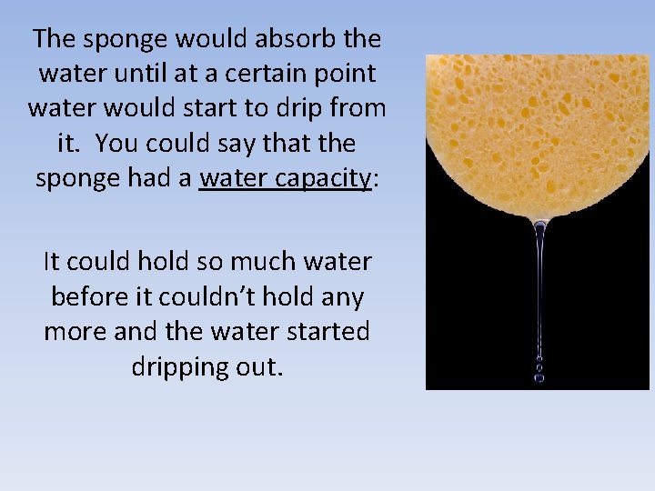 The sponge would absorb the water until at a certain point water would start