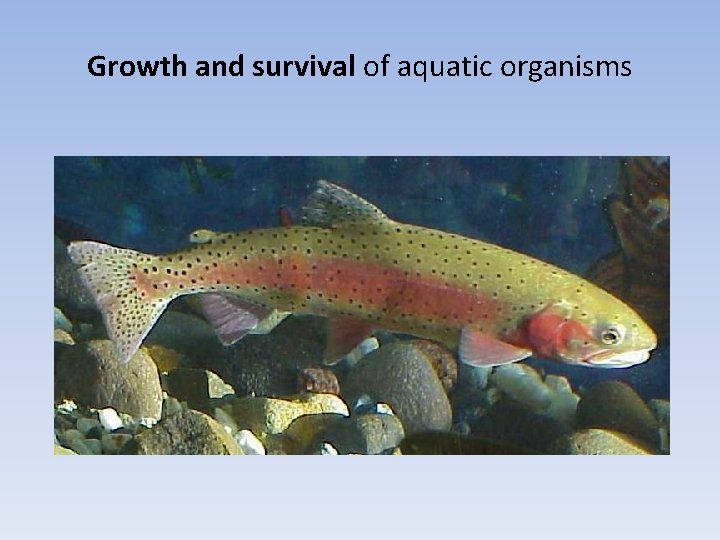 Growth and survival of aquatic organisms 