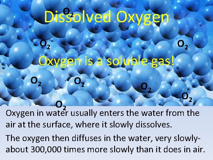 O 2 Dissolved Oxygen O 2 Oxygen is a soluble gas! O 2 O