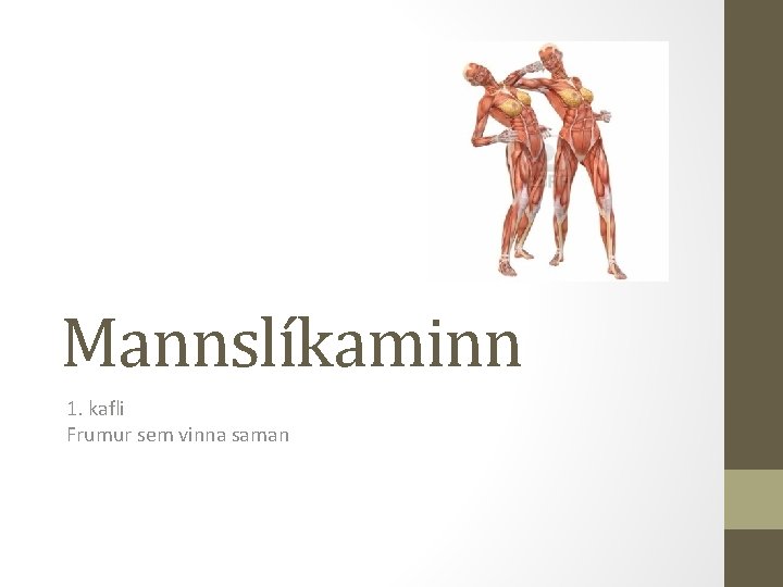 Mannslíkaminn 1. kafli Frumur sem vinna saman 