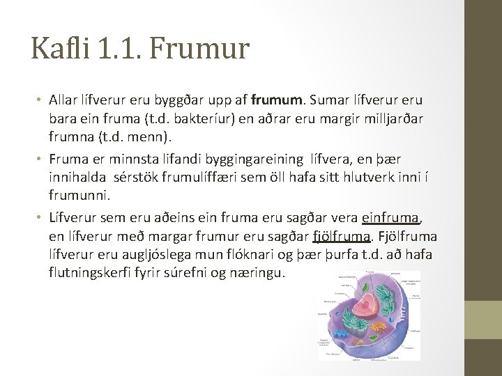 Kafli 1. 1. Frumur • Allar lífverur eru byggðar upp af frumum. Sumar lífverur