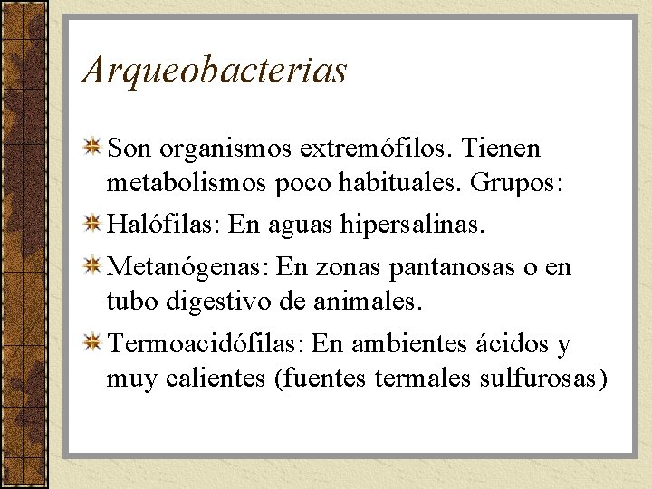 Arqueobacterias Son organismos extremófilos. Tienen metabolismos poco habituales. Grupos: Halófilas: En aguas hipersalinas. Metanógenas: