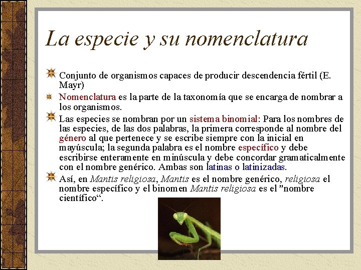 La especie y su nomenclatura Conjunto de organismos capaces de producir descendencia fértil (E.