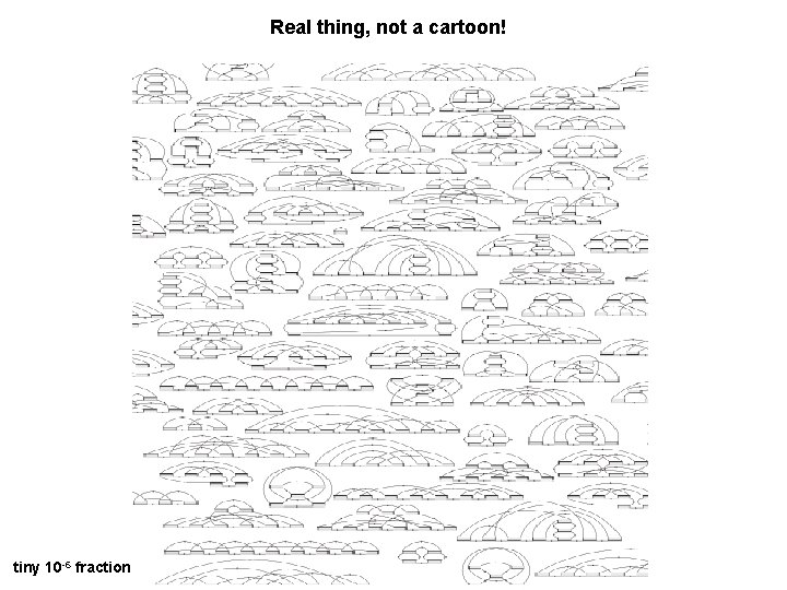 Real thing, not a cartoon! tiny 10 -6 fraction 