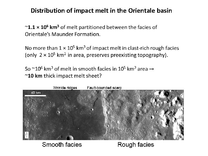 Distribution of impact melt in the Orientale basin 