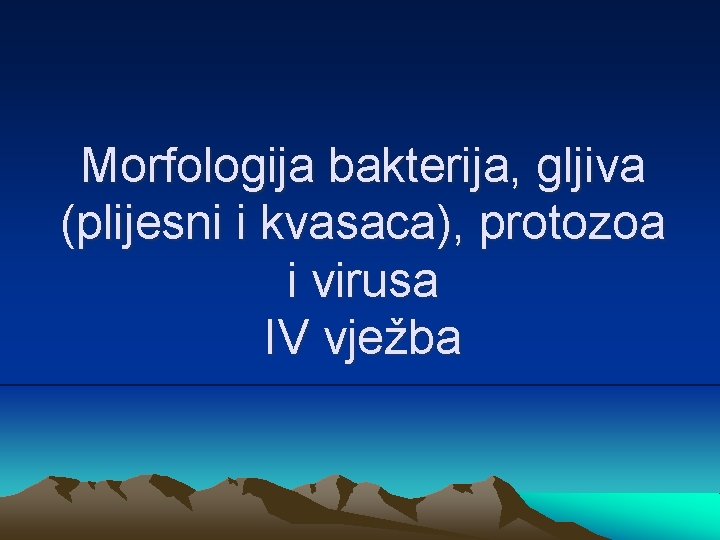 Morfologija bakterija, gljiva (plijesni i kvasaca), protozoa i virusa IV vježba 
